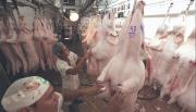 Agro se declara en alerta y advierte que está en riesgo la seguridad alimentaria