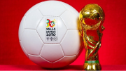 Partido ecologista de Portugal pide que el Mundial 2030 se organice sin Marruecos