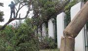 Senamhi declara alerta roja por vientos de hasta 120 km/h en Santa Cruz para este jueves