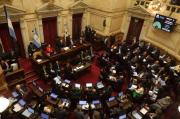 El Senado de Argentina aprueba polémica ley de propiedad privada en medio de protestas