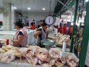 Se dispara el precio del pollo hasta Bs 30 el kilo y golpea la economía familiar