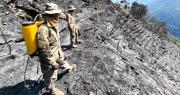 La Paz: Bomberos militares “liquidan” el incendio forestal en una comunidad de Yanacachi