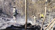 Controlan incendio forestal en una comunidad de Yanacahi