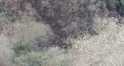 Un vehículo cae a un barranco en Yungas y mueren cuatro personas