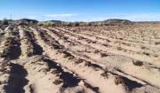 Gobierno anuncia entrega de más de 95.000 títulos agrarios en los próximos meses
