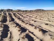 Gobierno anuncia entrega de más de 95.000 títulos agrarios en los próximos meses