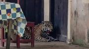 Cinco temas que definirán esta jornada, en cinco minutos
