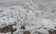 Pronostican nevadas para algunas regiones de cinco departamentos del país