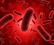 Suben a siete los decesos por una bacteria carnívora en las costas de EEUU
