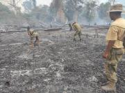 Defensa Civil reporta 193 focos de calor en cinco departamentos de Bolivia