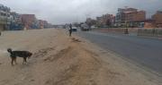 Hombre muere tras ser atropellado y abandonado en la carretera La Paz – Oruro, el conductor se dio a la fuga
