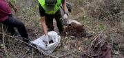 HALLAN RESTOS ÓSEOS EN EL MUNICIPIO DE CHULUMANI Y BUSCAN IDENTIFICAR A LA PERSONA