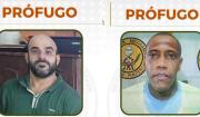 Fuga de Palmasola: Interpol activa alerta naranja y coordina operativo con Brasil