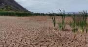 Bolivia comienza a sentir efectos de El Niño con calor y sequías; así puede reducir los daños