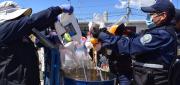 OPERATIVOS EN EL ALTO DEJAN 15.254 LITROS DE ALCOHOL DECOMISADOS