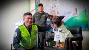 Rex, el teniente de cuatro patas, recibió la bendición junto a sus camaradas perrunos