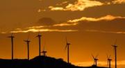 Paz confirmó posibles alianzas con Milei y Peña para distribuir energía: ¿Qué harán?