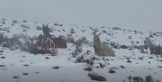 Nevadas en Potosí obligan a cerrar la frontera con Chile y afectan a 11 municipios