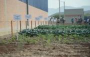 Productores cruceños alertan por riesgo de perder 5.000 hectáreas de hortalizas