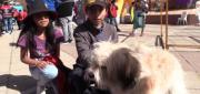 EL ALTO CELEBRARÁ SAN ROQUE CON VACUNACIÓN, ADOPCIONES Y CONCURSO DE MASCOTAS