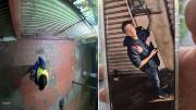 Cámaras de seguridad captan a delincuentes que ingresaron a robar en una joyería en el centro de la capital cruceña