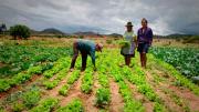 Agrosustentar movilizará más de 21 millones de euros para apoyar a 17.500 familias rurales