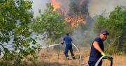 Europa se debate con los incendios, que castigan con dureza a Bélgica