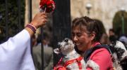 Ceremonias de bendición y homenajes a los perros en el Día de San Roque