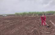 Agropecuarios de Tarija en desacuerdo con decreto y transportistas no ven una solución