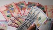 Dólar sigue a la baja, se cotiza a Bs 11,52