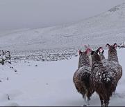 Nevadas y lluvias se concentran en cinco departamentos; hay regiones inundadas