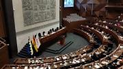 Vocero presidencial pide respeto a la Constitución Política del Estado en la Asamblea Legislativa