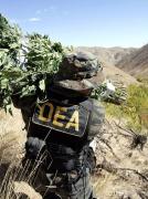 Buenos Aires alberga una cumbre mundial de la DEA contra el narcotráfico