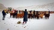 Nevada golpea Potosí: 12 municipios, 323 comunidades, más de 26.000 familias afectadas