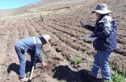 Censo Agropecuario actualizará la radiografía productiva de Bolivia tras 13 años