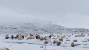 Defensa Civil: Nevadas en tres departamentos dejaron 26.000 familias afectadas