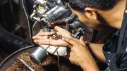 Bolivia lleva su café a 28 países tras alcanzar un récord exportador de $us 17,1 millones