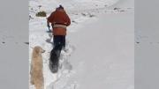 Potosí: reportan al menos 600 damnificados y 2.400 afectados por nevadas en Tomave