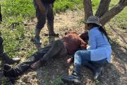 Hallan con vida y herido a Fiscal, Huchani en la estancia Cachaschane