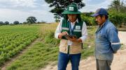 INE abre segunda fase de reclutamiento de personal para el censo agropecuario