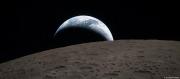 NASA DESCUBRE QUE UN MOHO NEGRO PUEDE SOBREVIVIR EN LA LUNA