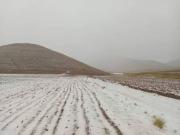 Nevadas afectaron a 800 familias en Yunchará