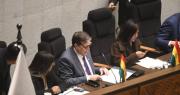 El Legislativo interpela al ministro de Hidrocarburos sobre el suministro de combustibles