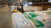 YPFB genera USD 102,7 millones por exportación de urea a cinco países