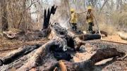 Defensa Civil resalta la labor de los municipios con la alerta temprana para evitar los incendios forestales