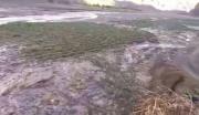 Nevada destruye 450 hectáreas agrícolas en La Paz