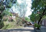 CRE atendió cerca de 1.000 incidencias por los fuertes vientos