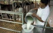 Bolivia exporta $us 11 millones en lácteos y Colombia concentra dos tercios del mercado