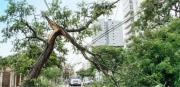 La CRE atendió cerca de 1.000 emergencias eléctricas