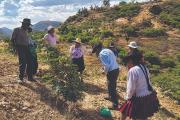 Biocomercio es la riqueza natural que Bolivia quiere convertir en más divisas